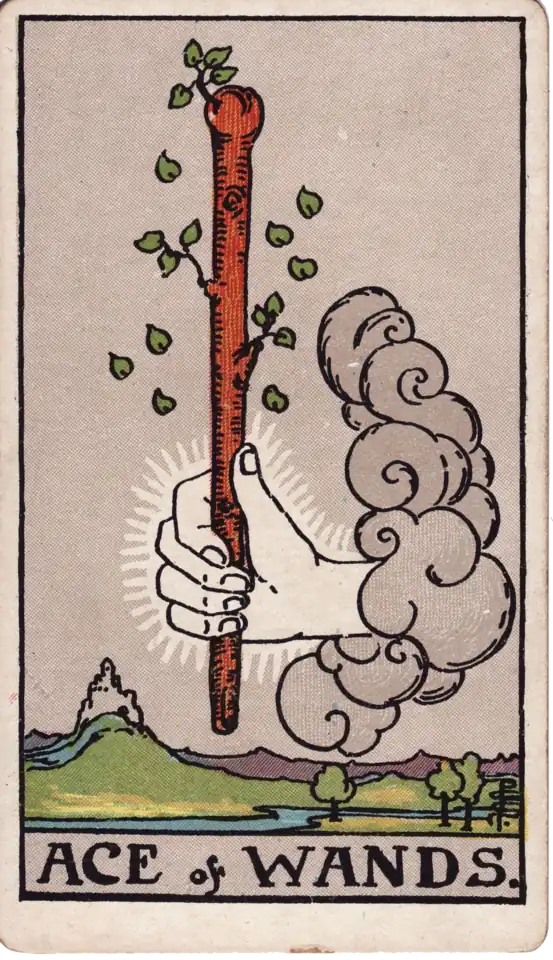 Ace of Wands